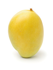 Mango on a white background