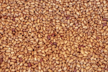 Fototapeta premium photo of many beans together