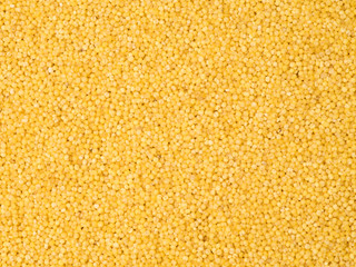 Yellow Millet background