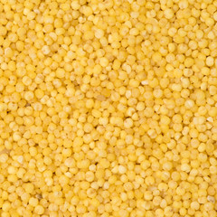 Yellow Millet background