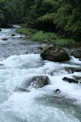 Fototapeta premium 渓流