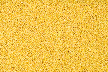 Yellow Millet background