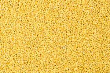 Yellow Millet background