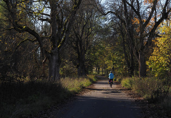 Obraz premium Ehemaliger Truppenübungsplatz Münsingen, Radweg