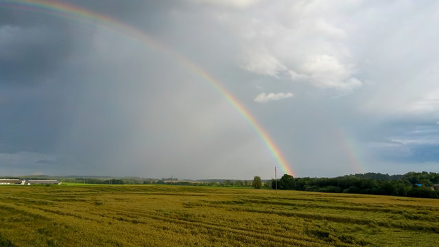 Rainbow Above Wheat Field. Flight Down Ripe Crop Field After Rain and Colorfull Rainbow in Background Rural Countryside. Aereal Dron Shoot. © Uldis