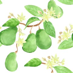 Green, ripe avocado seamless pattern. Watercolor hand drawing isolated on white background.