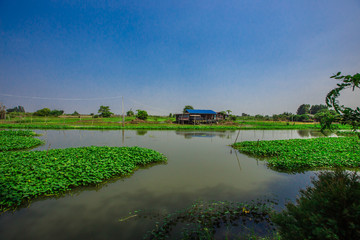Saphan Khong Floating Market - SuphanBuri:10 November2019,River side attractions(giant fish randomly,bamboo bridge)There are tourists visiting to see the food,eat while onholiday,SongPhiNong,thailand