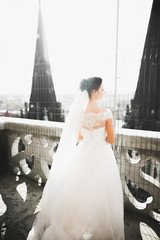 Obraz premium Portrait of a beautiful fashion bride, sweet and sensual. Wedding make up and hair