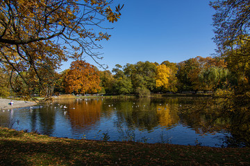 Fototapeta na wymiar autumn landscape from Warsaw park. royal bathrooms in Poland