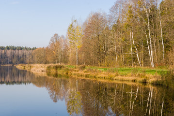 Zalew Czapielówka w Czarnej Białostockiej, Puszcza Knyszyńska, Polska złota jesień, Podlasie