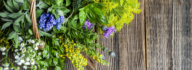 Fresh herbs from the garden on wooden table. Mix of herb on wood. - obrazy, fototapety, plakaty