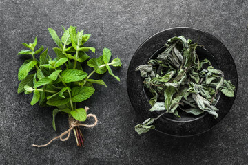 Green herbs. Fresh mint leaves or peppermint and dry mint in mortar, top view