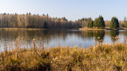 Zalew Czapielówka w Czarnej Białostockiej, Puszcza Knyszyńska, Polska złota jesień, Podlasie