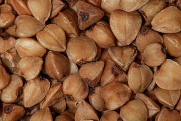Buckwheat dried grains minimalism macro