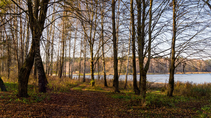 Fototapeta premium Zalew Czapielówka w Czarnej Białostockiej, Puszcza Knyszyńska, Polska złota jesień, Podlasie
