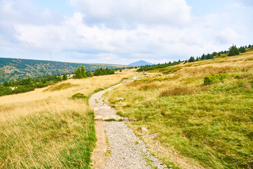 Naklejka premium Hiking in Krkonose Mountains near Spindleruv Mlyn 