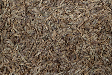 Caraway, cumin, cummin spices with pattern for background