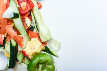 Food waste from domestic kitchen Responsible disposal of household food wastage in an environnmentally friendly way by recycling in compost bin at home