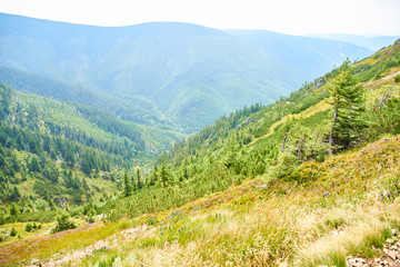 Fototapeta na wymiar Hiking in Krkonose Mountains near Spindleruv Mlyn 