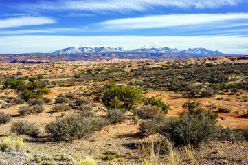 Arches National Park. Utah. USA