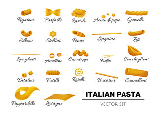Type of pasta icons, italian set in cartoon style