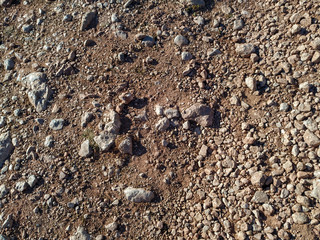 Rocky and muddy ground outside on the hiking path in the wilderness showing natural and uneven terrain during adventure