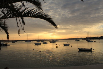 Sonnenuntergang am Meer mit Möwe