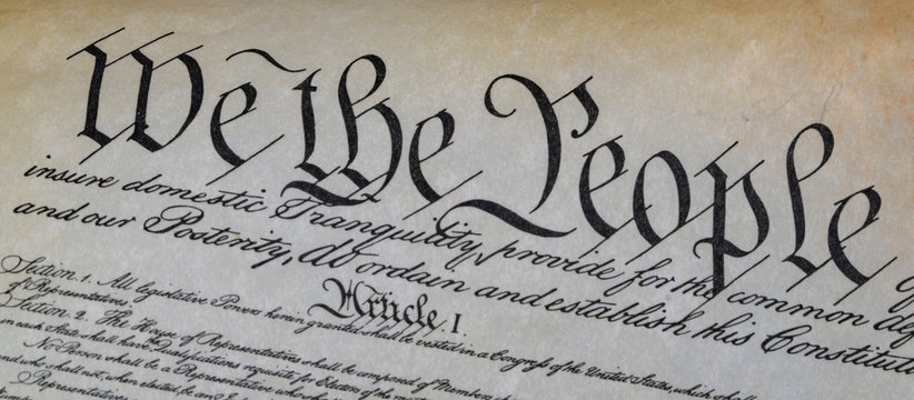 we the people usa constitution detail