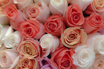 Beautiful bouquet of lots of colorful roses white red tea orange background close up