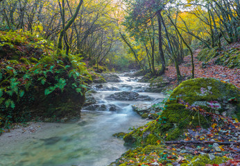 Monte Tancia (Rieti, Italy) - The suggestive waterfalls of torrent Galantina in the Appennini mountains, named Pozze del Diavolo, during the autumn with foliage