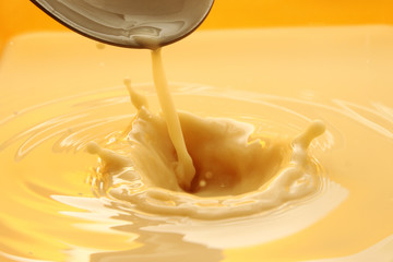 Fresh and creamy milk