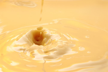 Fresh and creamy milk