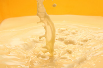 Fresh and creamy milk