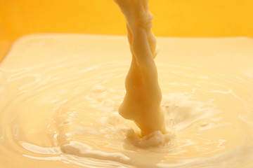 Fresh and creamy milk