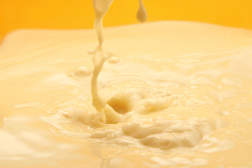 Fresh and creamy milk