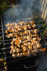  kebab meat is grilled on the street in a village courtyard. meat on fire