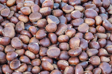 photo of chestnuts all together