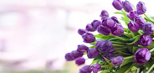 A bouquet of tulips in a vase. Soft selective focus