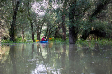 Fototapeta na wymiar Family - dad mom and son paddling in blue kayak among flooded trees in Danube river at spring high water