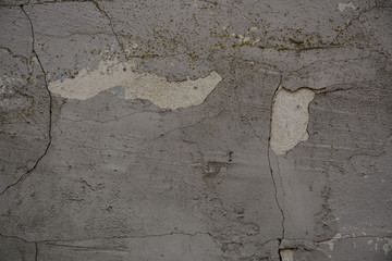 Wall. Beautiful vintage background. Abstract grunge decorative stucco wall texture