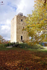 Obraz premium Tour de cabrens château donjon de pierre du moyen âge dans la forêt et pont de bois