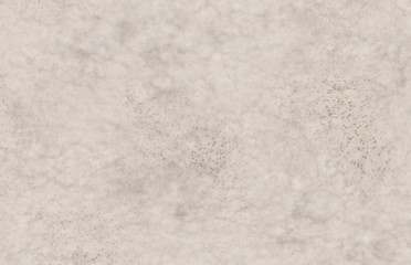 parchment paper sheet