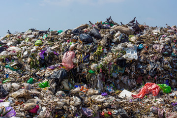 Waste piles in separation plants or landfills