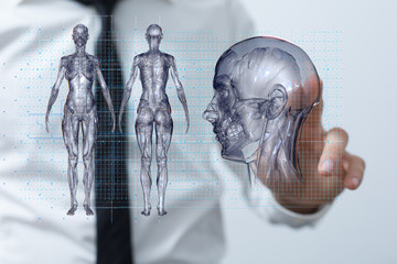 interface as medical network concept