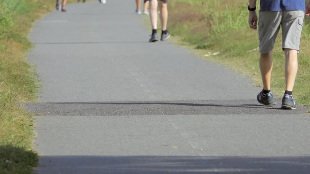 adults walk on a quiet country road on a sunny day