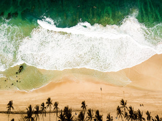 Aerial photo of a beach in Hawaii