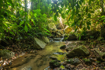 Kathu Waterfall in the tropical forest area In Asia, suitable for walks, nature walks and hiking, adventure photography Of the national park Phuket Thailand,Suitable for travel and leisure.