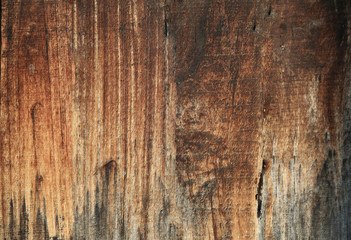 Fototapeta na wymiar Wood Texture And Wood Background