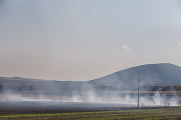 Feuer und Rauch auf dem Acker, neben Tokaj
