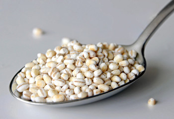 Pearl barley on silver spoon
